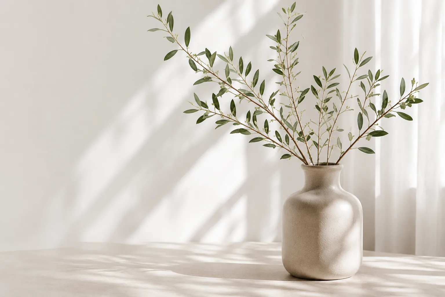 Olive branches in a stoneware vase on a sunlit table